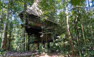 Amazonas: Dormir en un Árbol