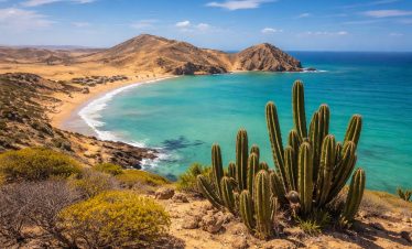 Alta Guajira
